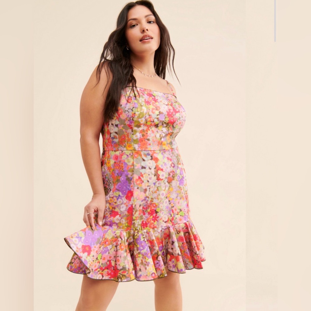 Hutch Mari Ruffle Mini Dress vibrant floral print ruffled hem size 12 anthro
